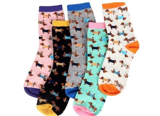 5 Pairs of Sausage Dog Socks